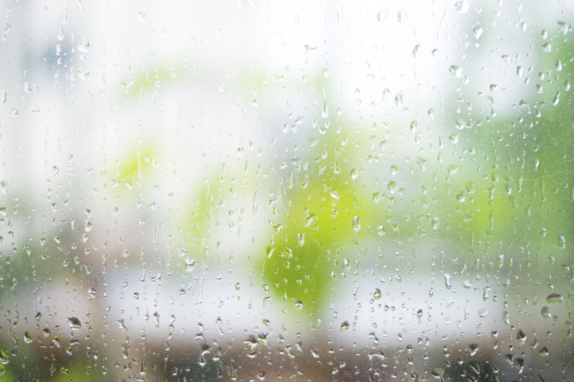 ジメジメ・梅雨の憂鬱を吹き飛ばすおすすめアロマ